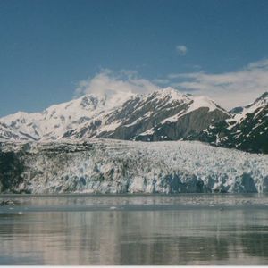 Meet your Posher, Lynne